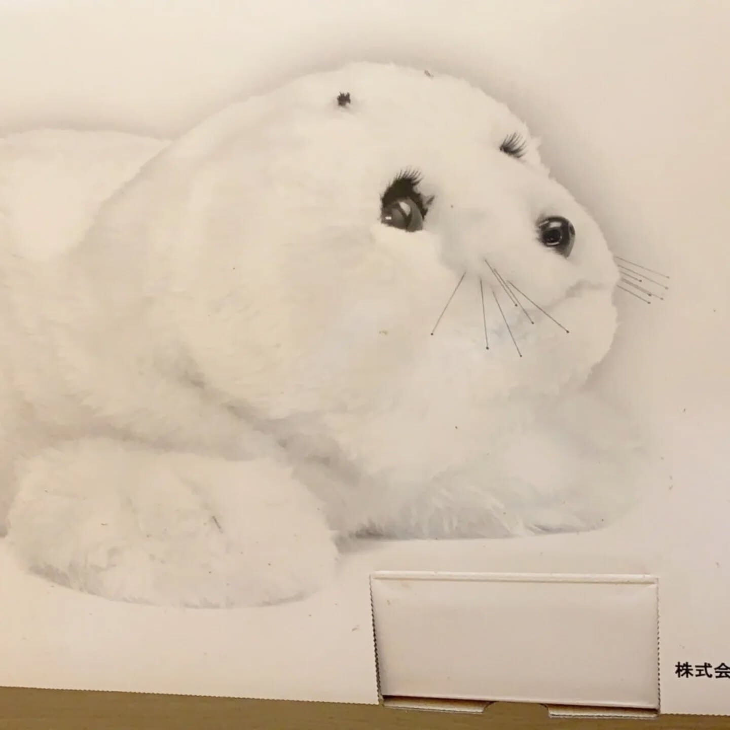 アザラシ型ロボット「パロ」をお買取させていただきました